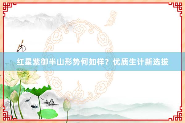 红星紫御半山形势何如样？优质生计新选拔