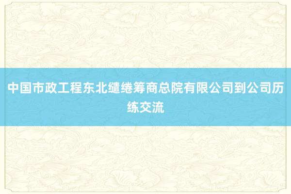 中国市政工程东北缱绻筹商总院有限公司到公司历练交流