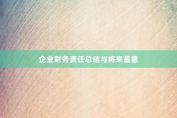 企业财务责任总结与将来蓄意
