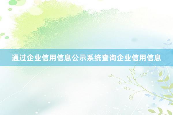 通过企业信用信息公示系统查询企业信用信息