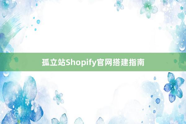 孤立站Shopify官网搭建指南